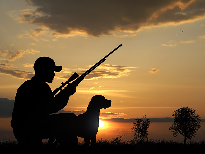 Что делать, если вы на охоте незаконно подстрелили дикое животное, защищаясь от него